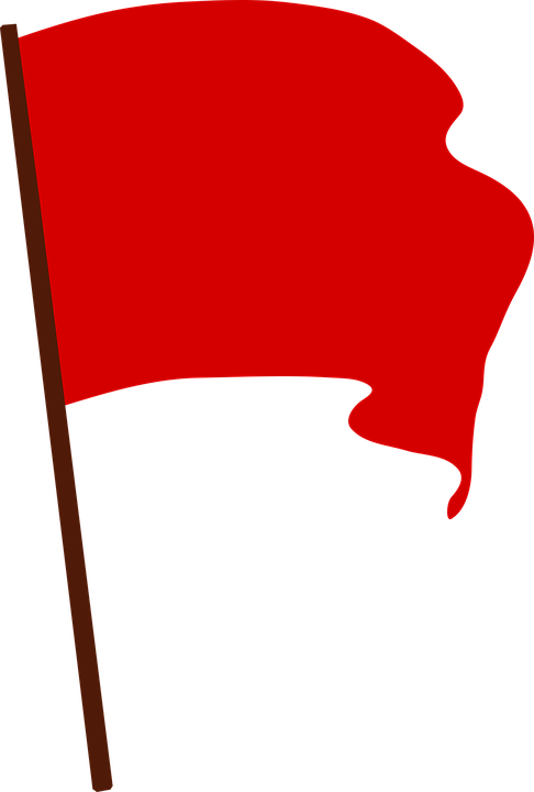 Revolutionary Socialism